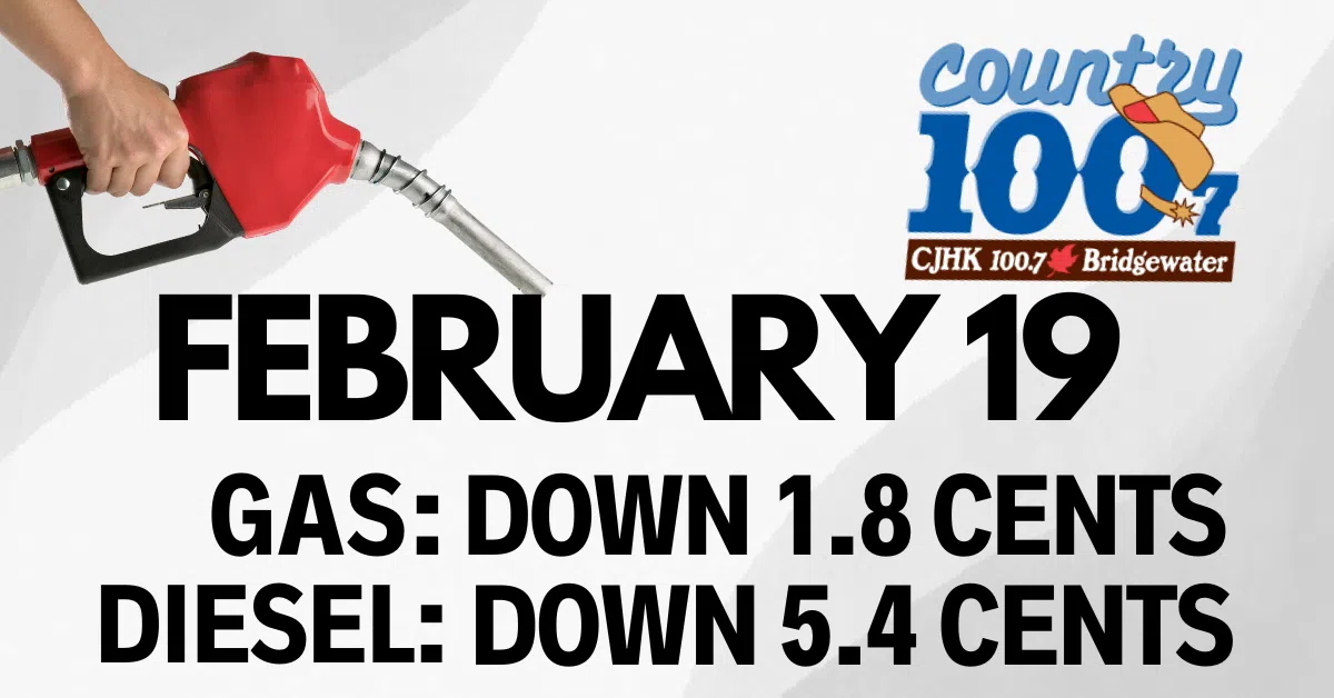 ⛽Prediction - February 19th