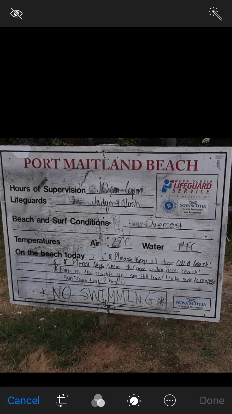 Beach Closed After Unwelcome Visitor Spotted