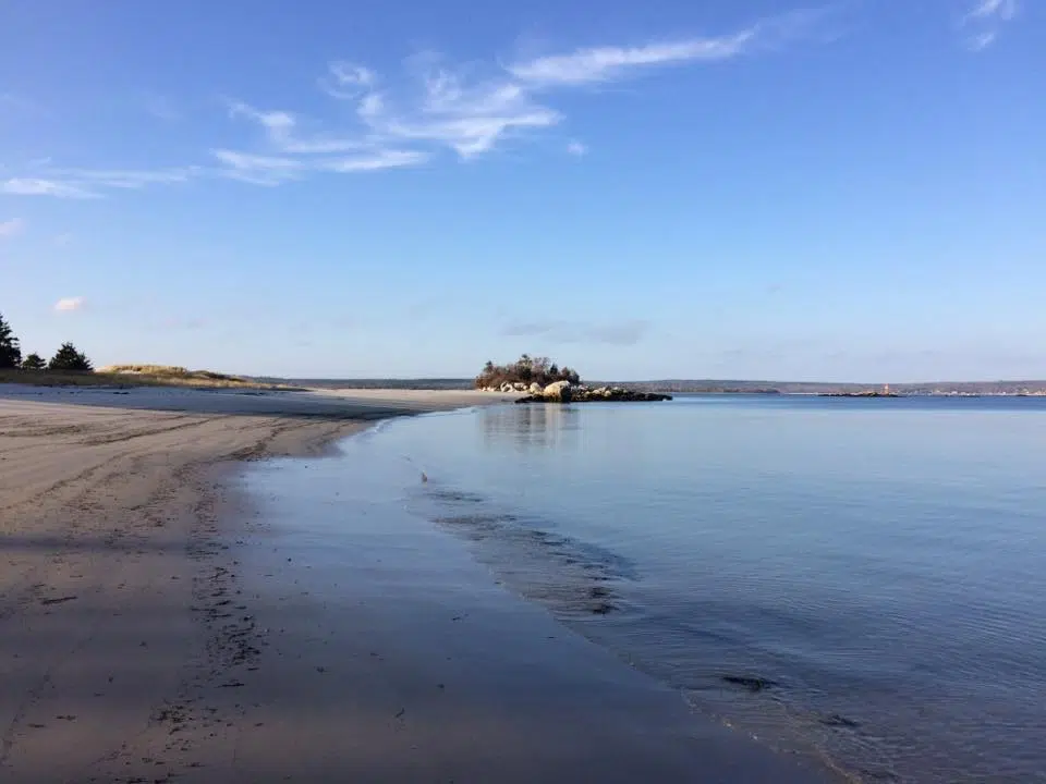 Volunteers Cleaning Up Carter's Beach This Weekend