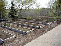 Bridgewater Community Garden