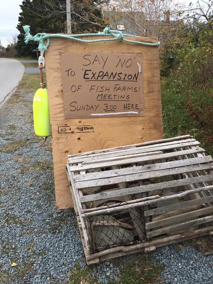 Residents Concerned Over Possible Fish Farm Expansion