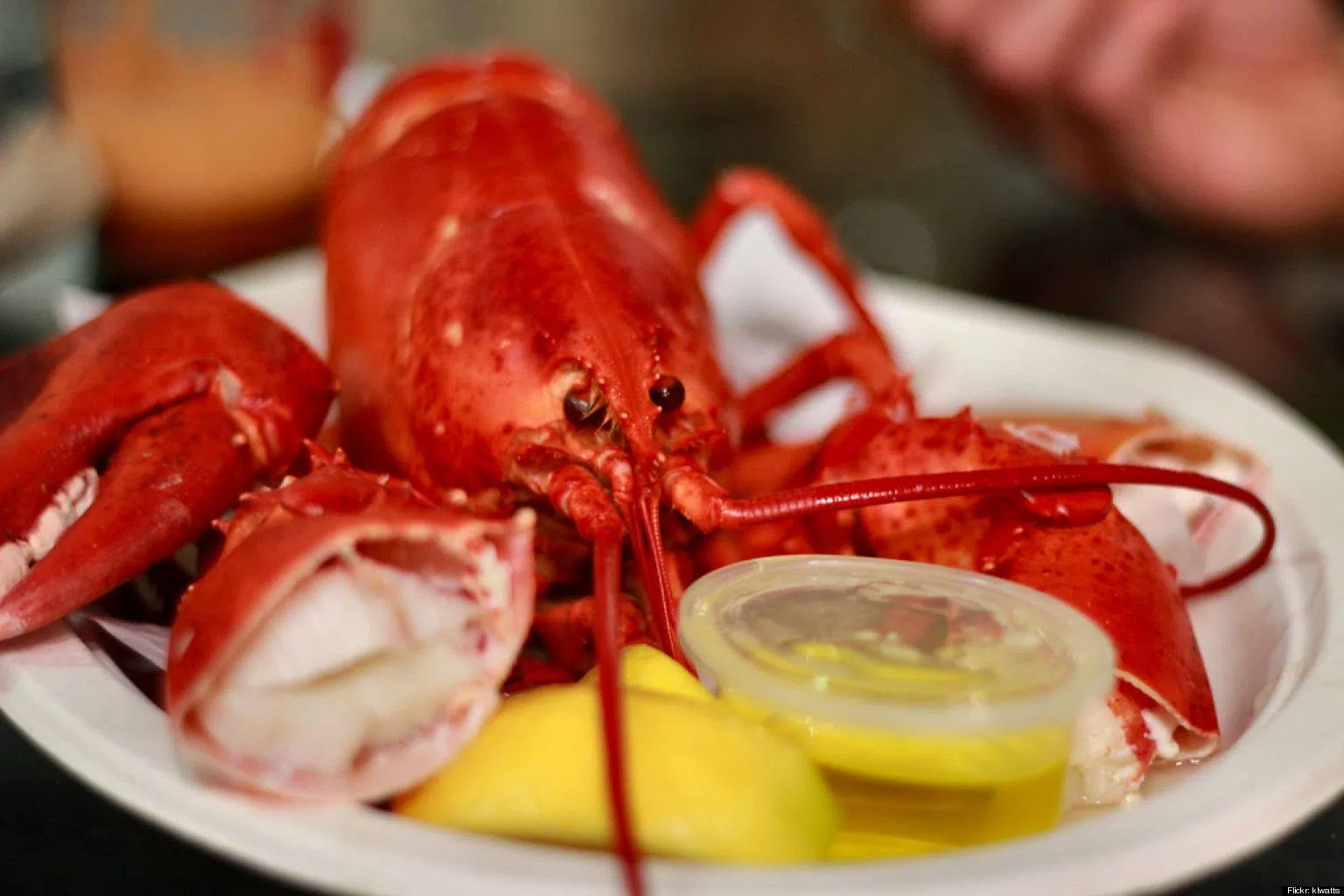 31st Annual Shelburne County Lobster Festival "Huge Success"