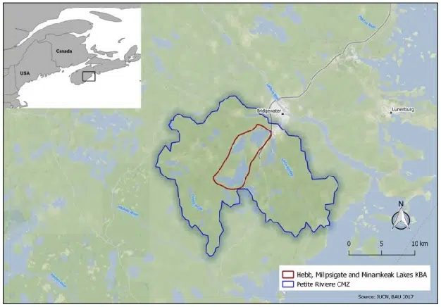 Petite Riviere Watershed Identified As Key Biodiversity Area