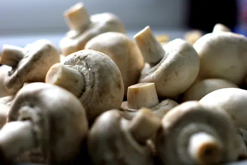 YUCK! This Is Your Most Hated Vegetable!