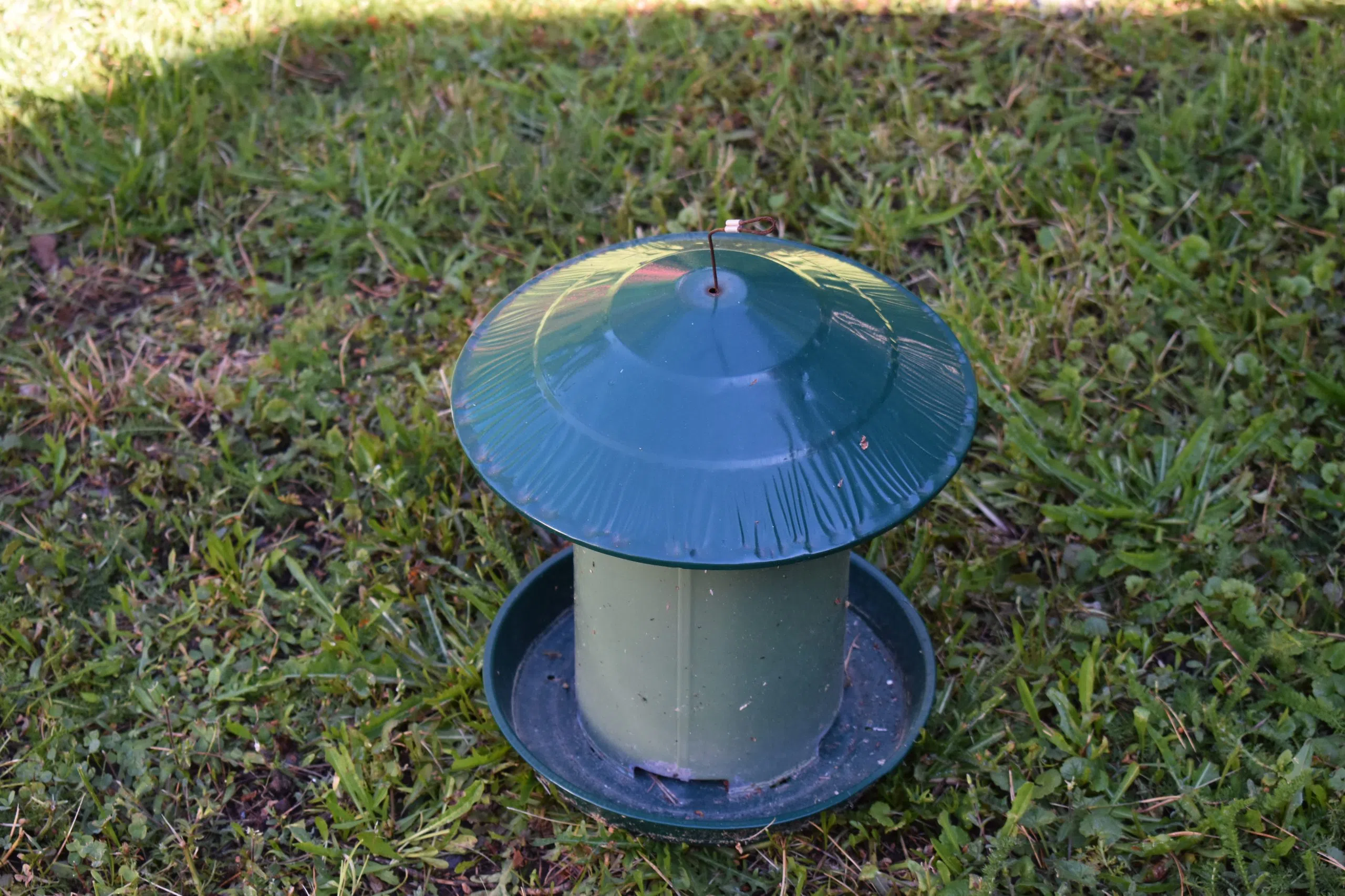Put Your Bird Feeders Away