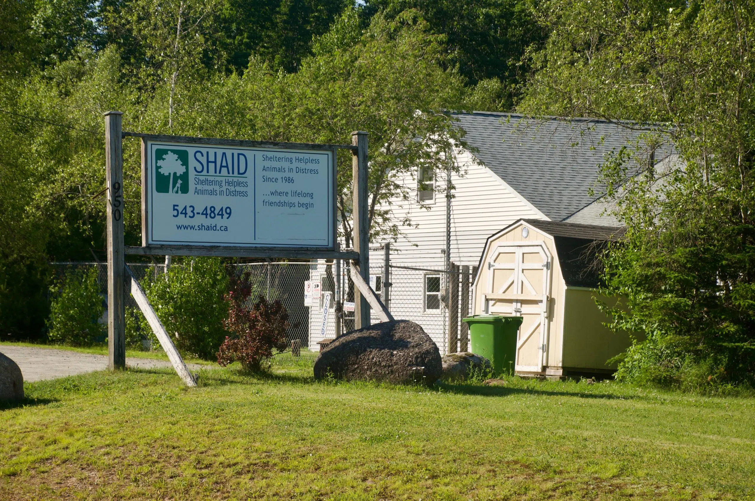 S.H.A.I.D Animal Shelter Notice During COVID-19