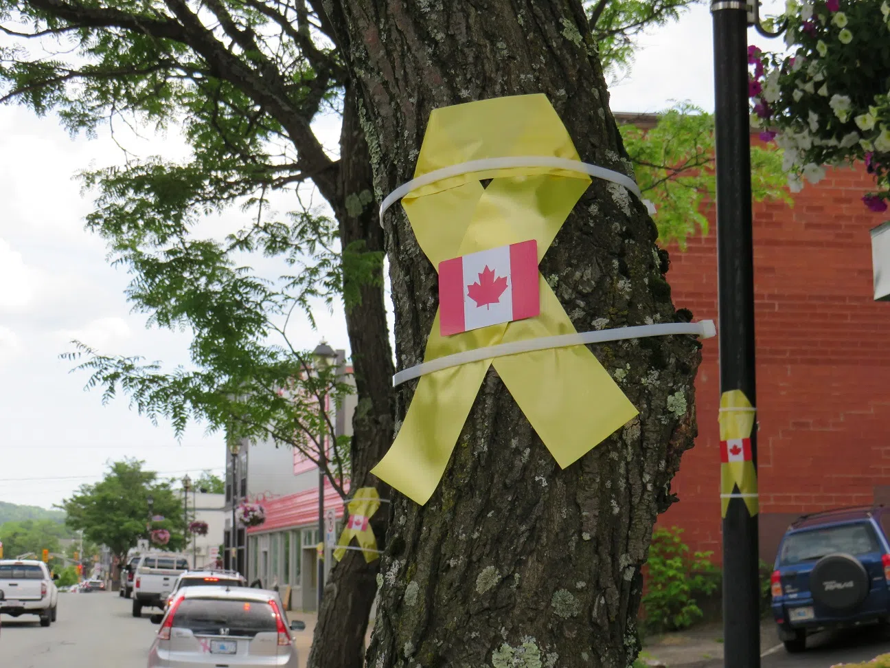 Yellow Ribbons Across Bridgewater Serve As Reminder