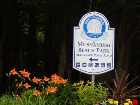 Cases of Swimmers Itch Confirmed at Mushamush Beach Park