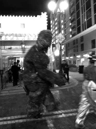 Bigfoot?  That You?