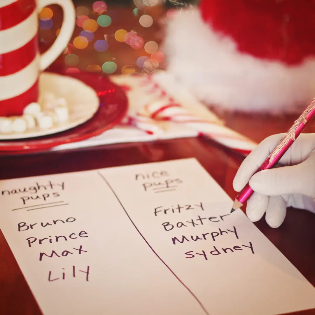 Is Your Name On The NAUGHTY Or NICE List?