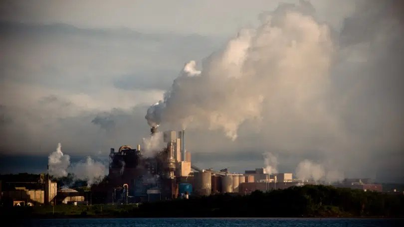 Northern Pulp Officials Say They Plan To Reopen Nova Scotia Mill In The Future
