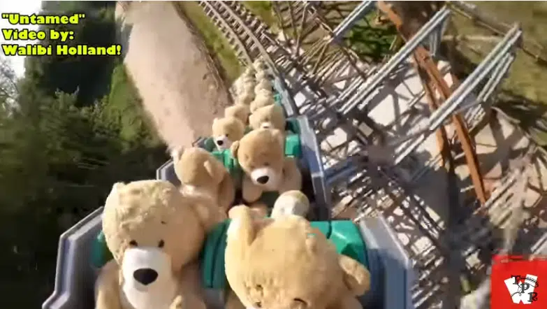 WATCH Teddy Bears Ride Roller Coaster In UnBEARably Cute Video CKBW