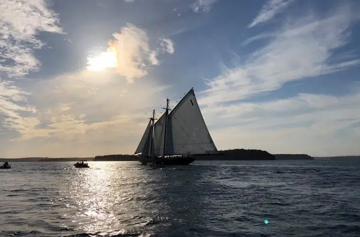 Bluenose II deck tours and cruises return