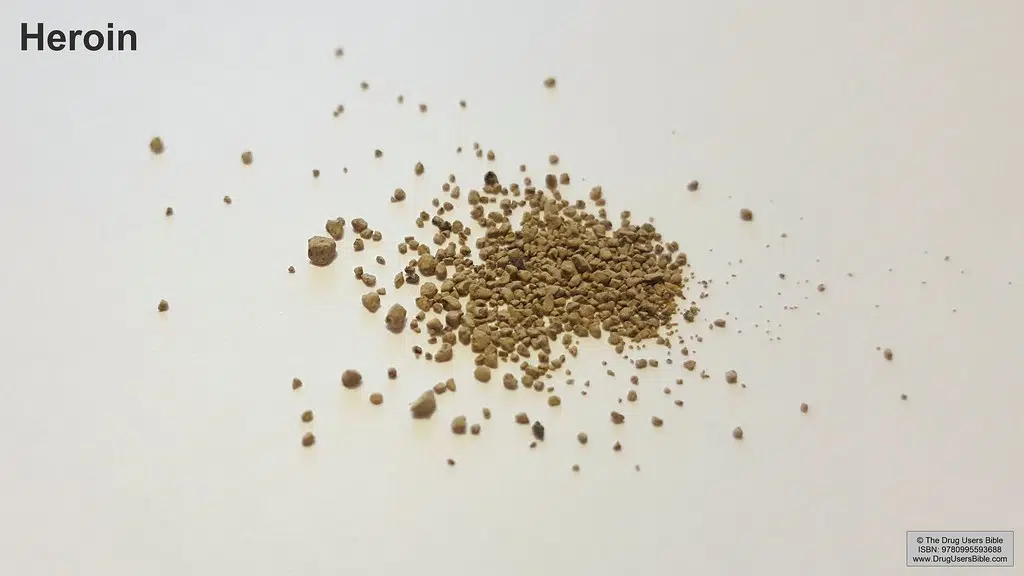 Heroin Potentially Moving Into Southwest Nova Scotia Communities