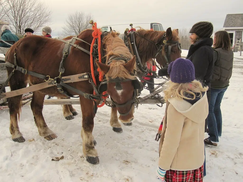 Ross Farm Fixes Up Property During Pandemic, Now Offering Sleigh Rides