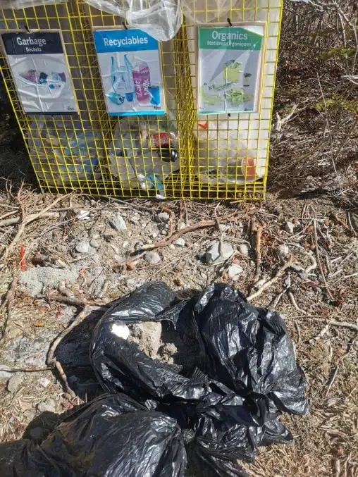 Cat Litter & Dirty Diapers Frequently Found In Illegal Dumping Instances