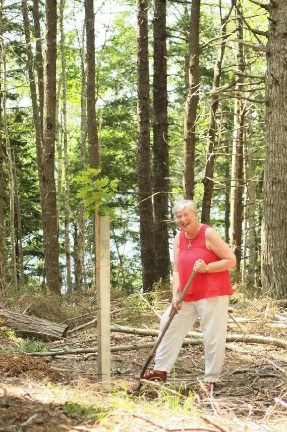 Keji Tree Planting Begins As Canada Aims To Plant 2 Billion Trees