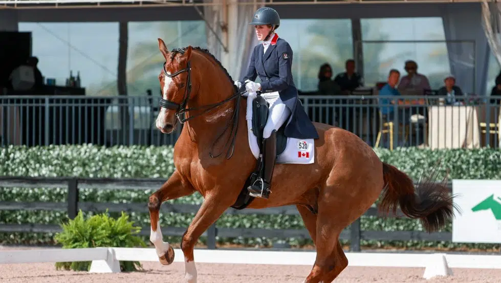 N.S. equestrian athlete makes Canadian history at Olympics