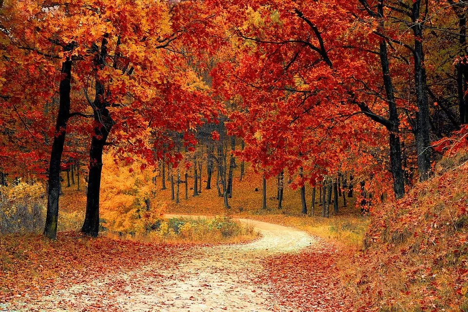 Warmer temps sticking around until December