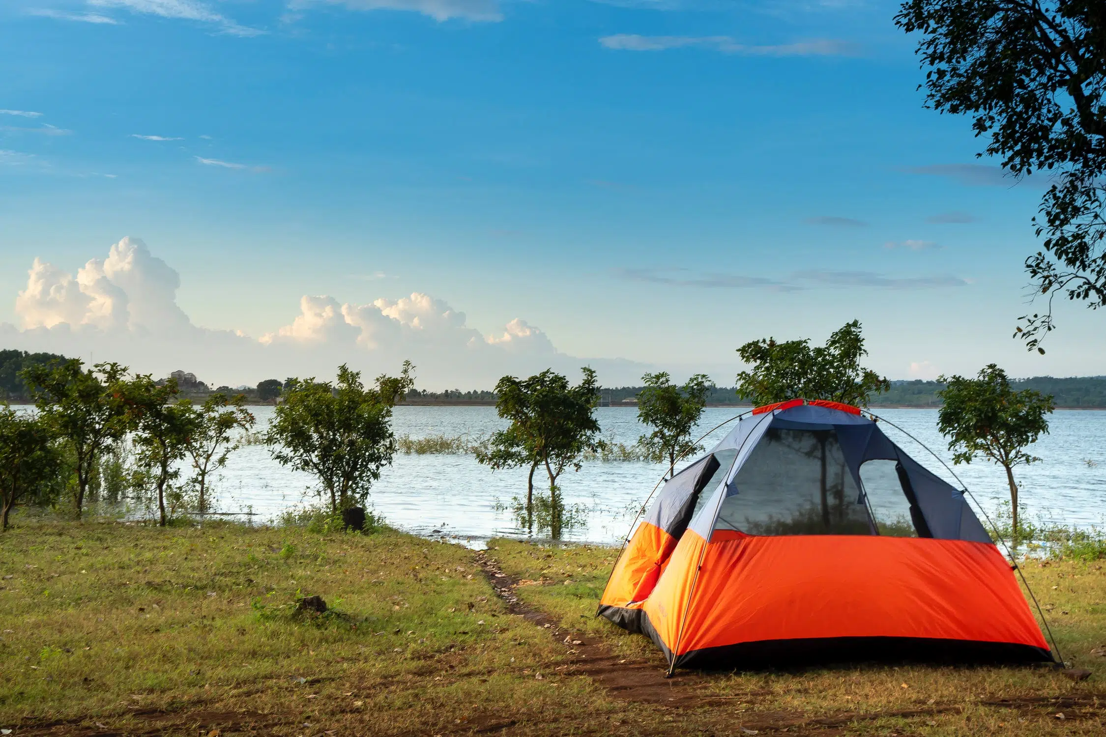 Countdown to camping begins: Bookings open for provincial parks in April