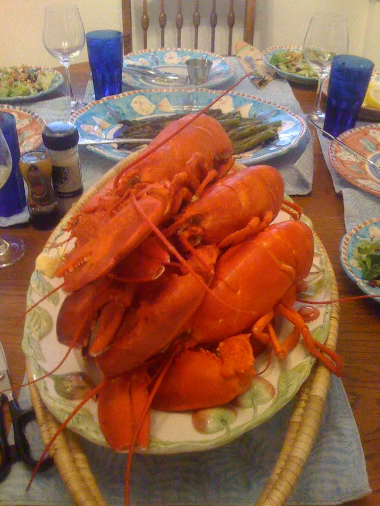Happy (First) Lobster Day