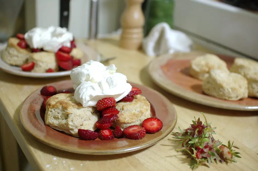 What's In Your Shortcake