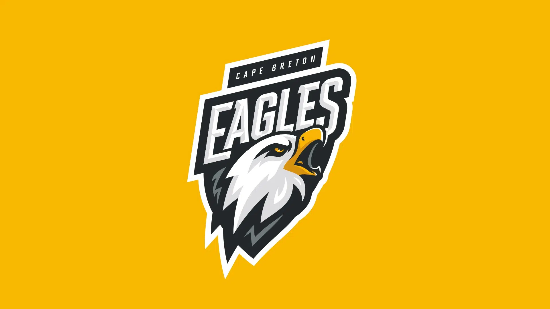 Eagles Hold First Pick In Tonight's QMJHL Draft