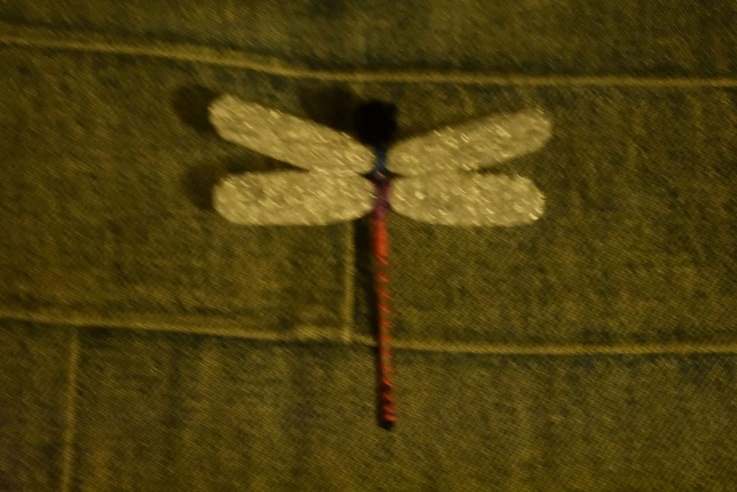 How To Train Your Dragon(fly)