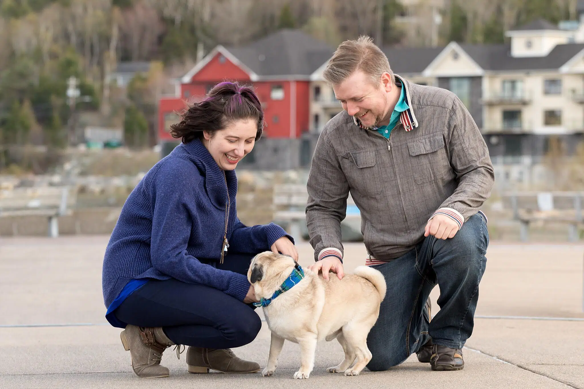 N.S. pet sitters see business boom as pandemic restrictions drop