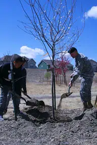 Celebrating Earth Day This Weekend