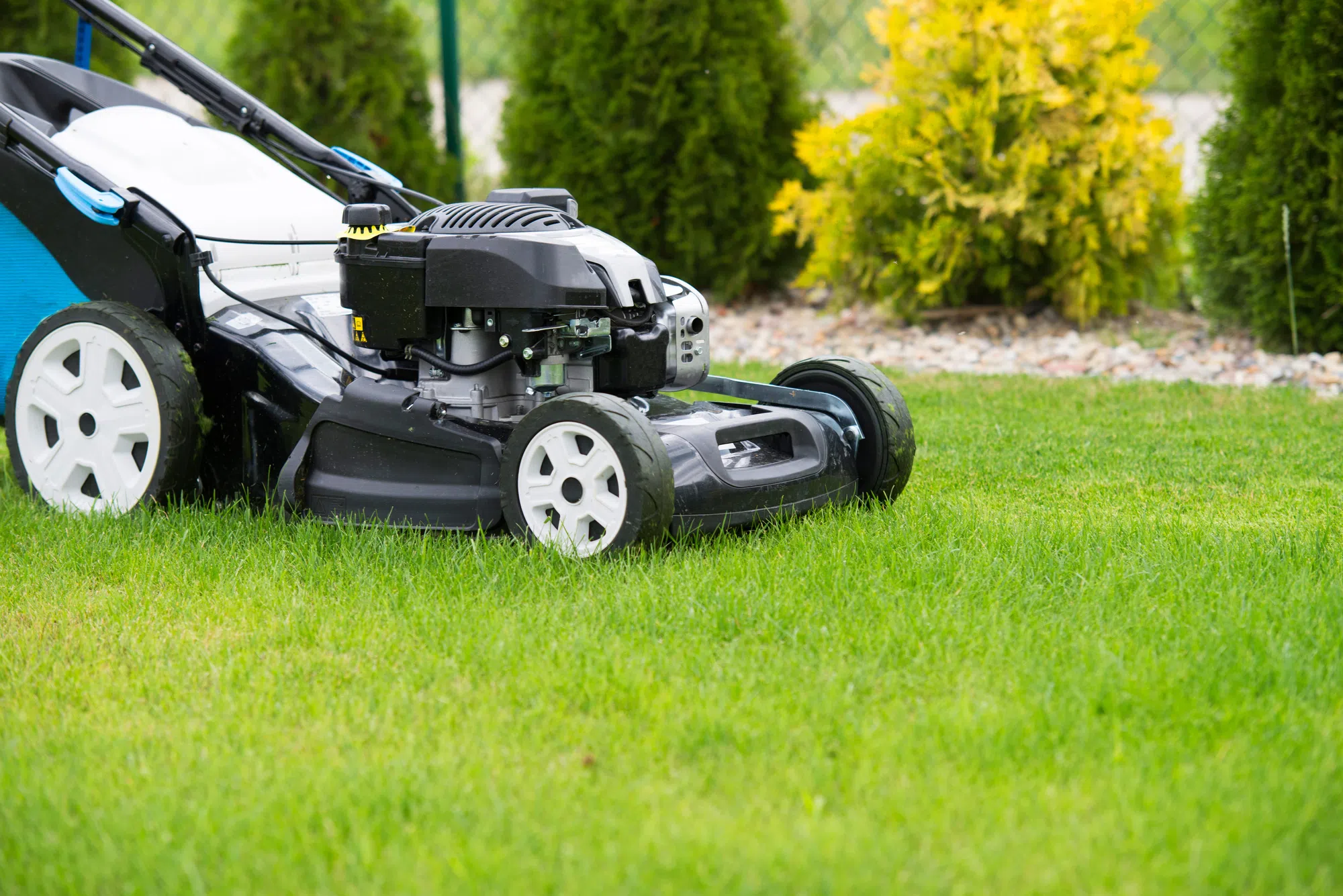 To Mow Or Not To Mow