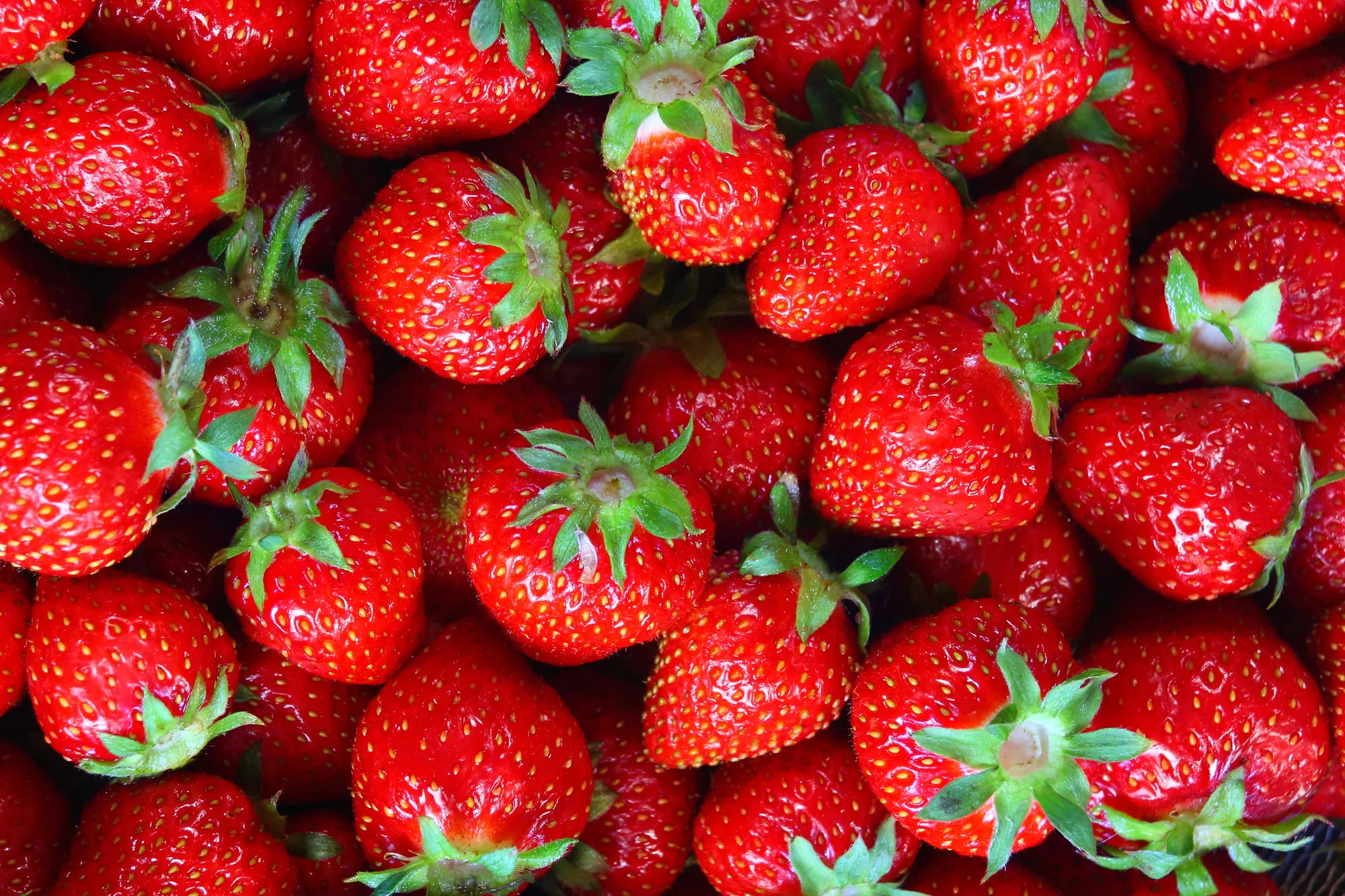 Berry Time
