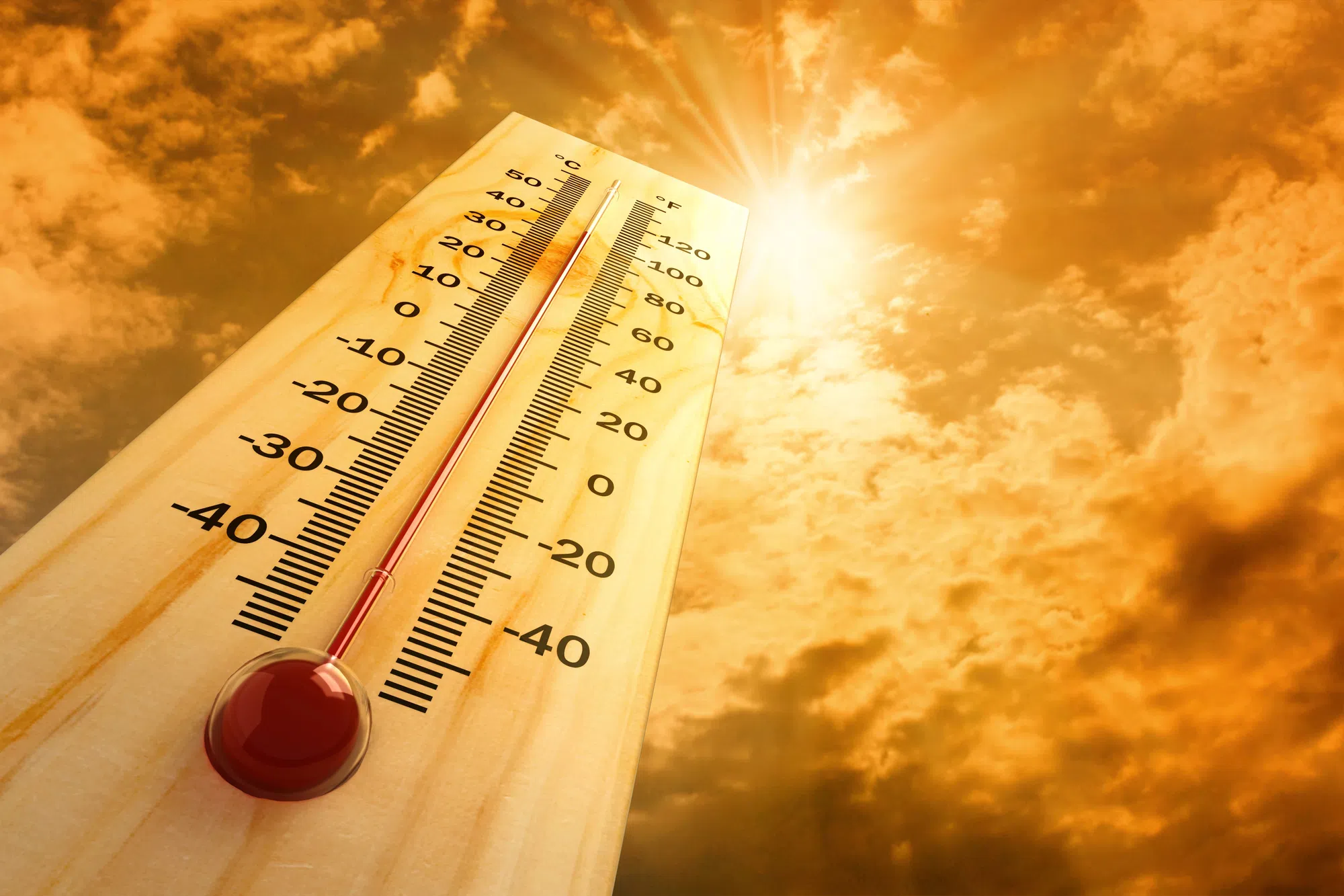 Hot Enough For Ya?