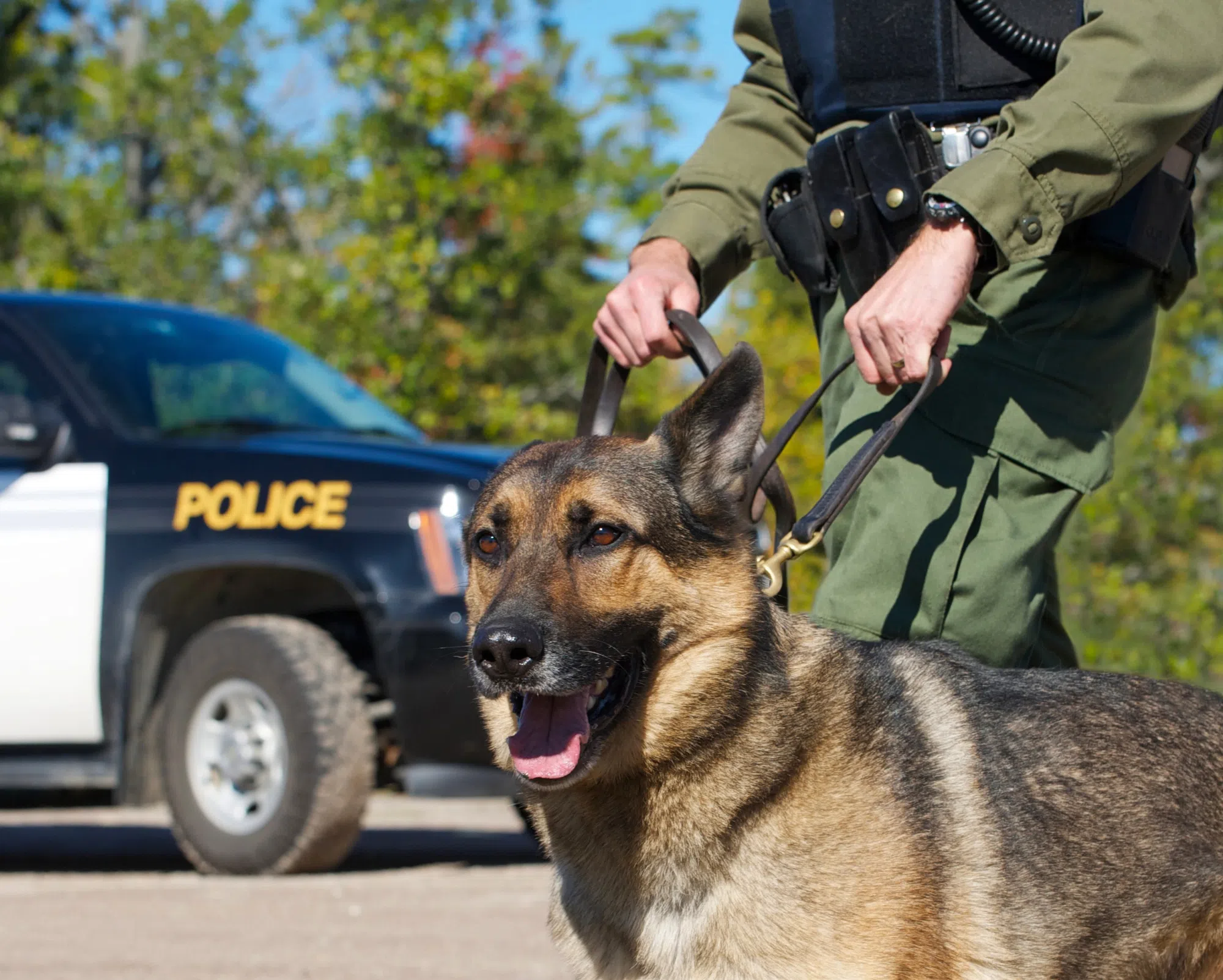 Name the RCMP puppy contest