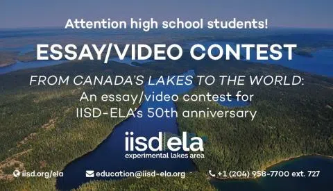 ELA Launches Student Essay Contest