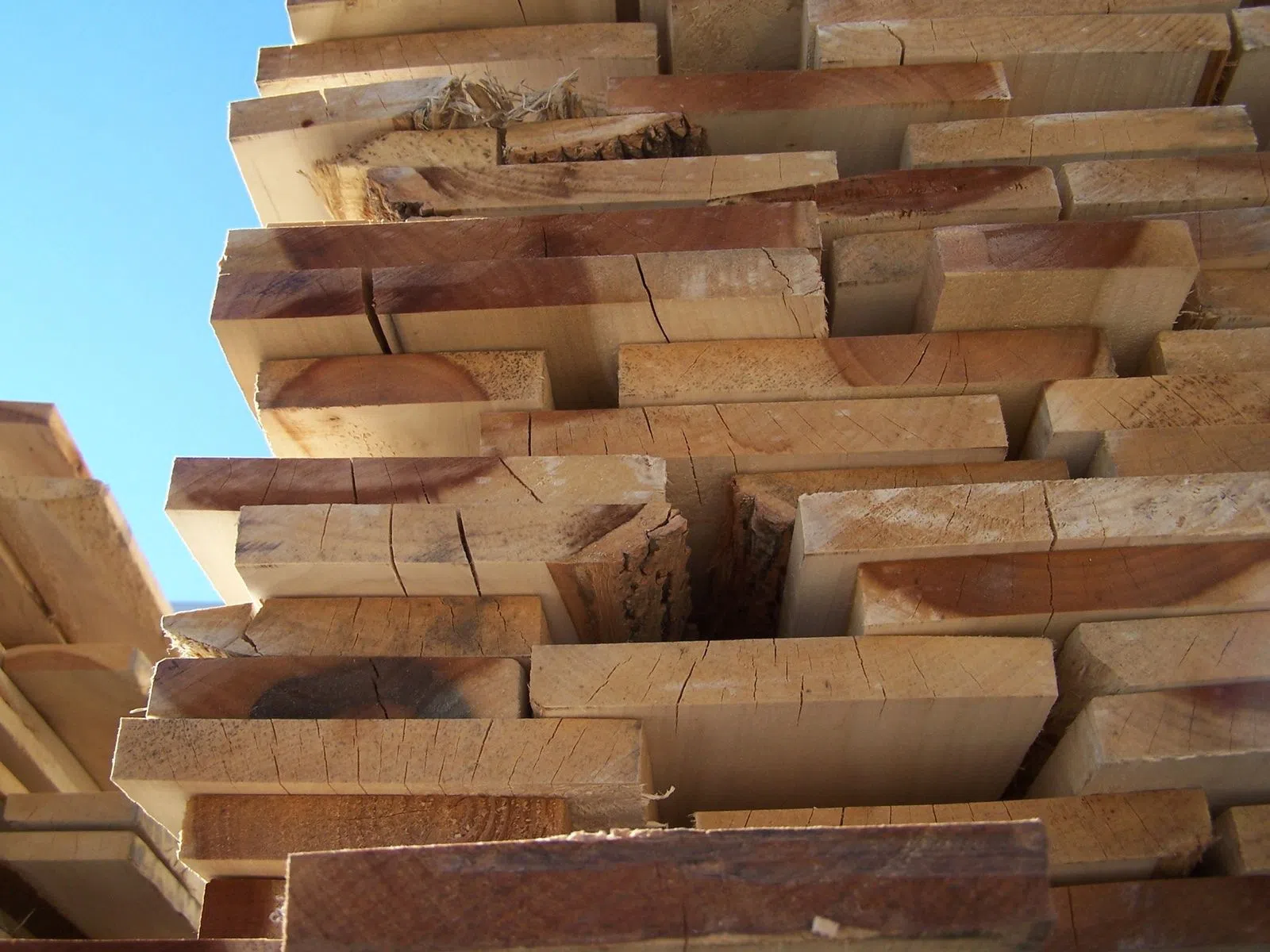 Softwood Lumber Producers Weathering US Duties