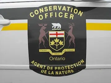 MNRF Setting Up New Canine Unit In Fort Frances