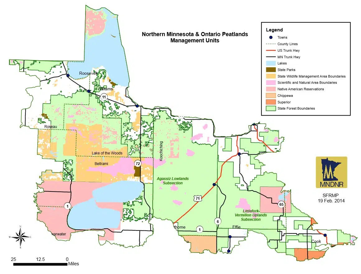 Forest Management Plan Up For Review