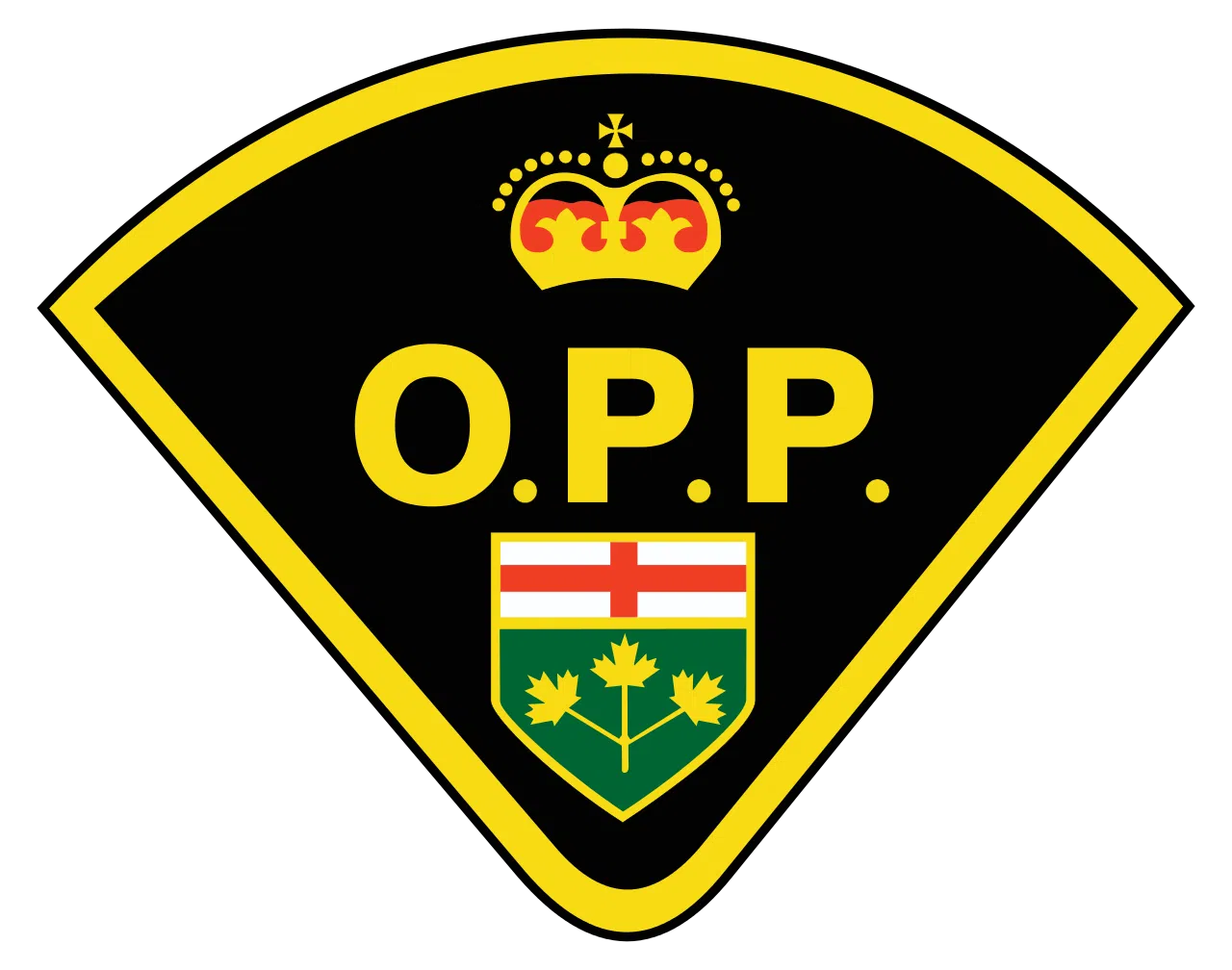 Thunder Bay Man Charged Following Police Pursuit
