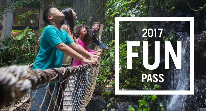 Fun Passes Available
