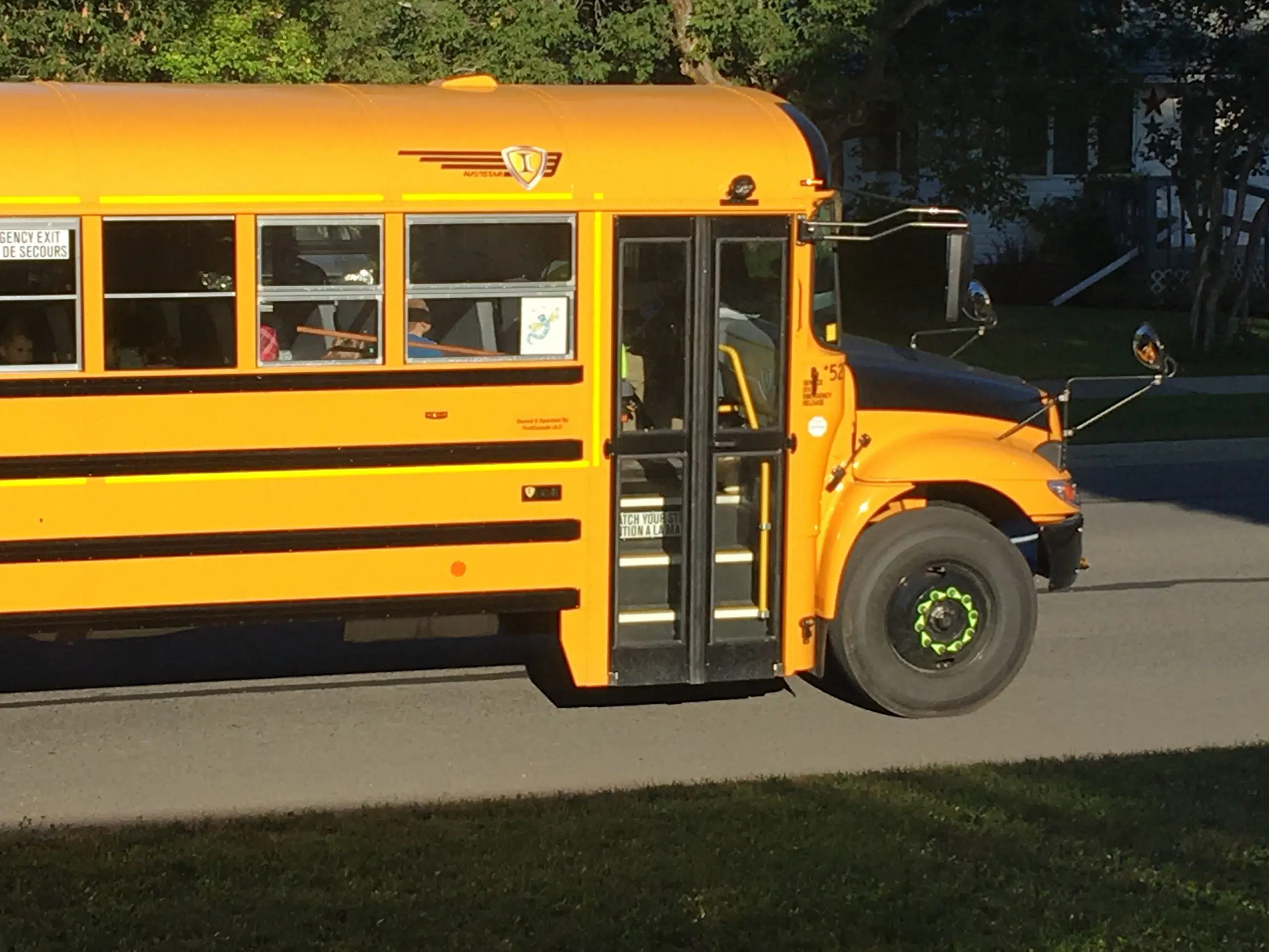 Seatbelts On School Buses Explored