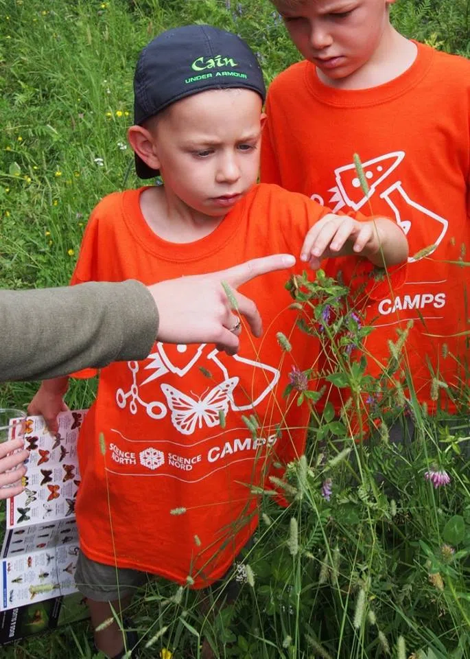 Science North Camps Returning