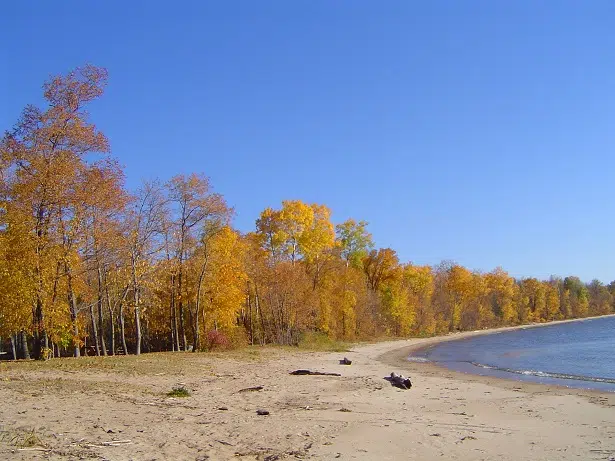 Fall at Oscar's Bay Beach