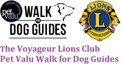 The Voyageur Lions Club - Pet Valu Walk for Dog Guides - Bill Michl  Interview