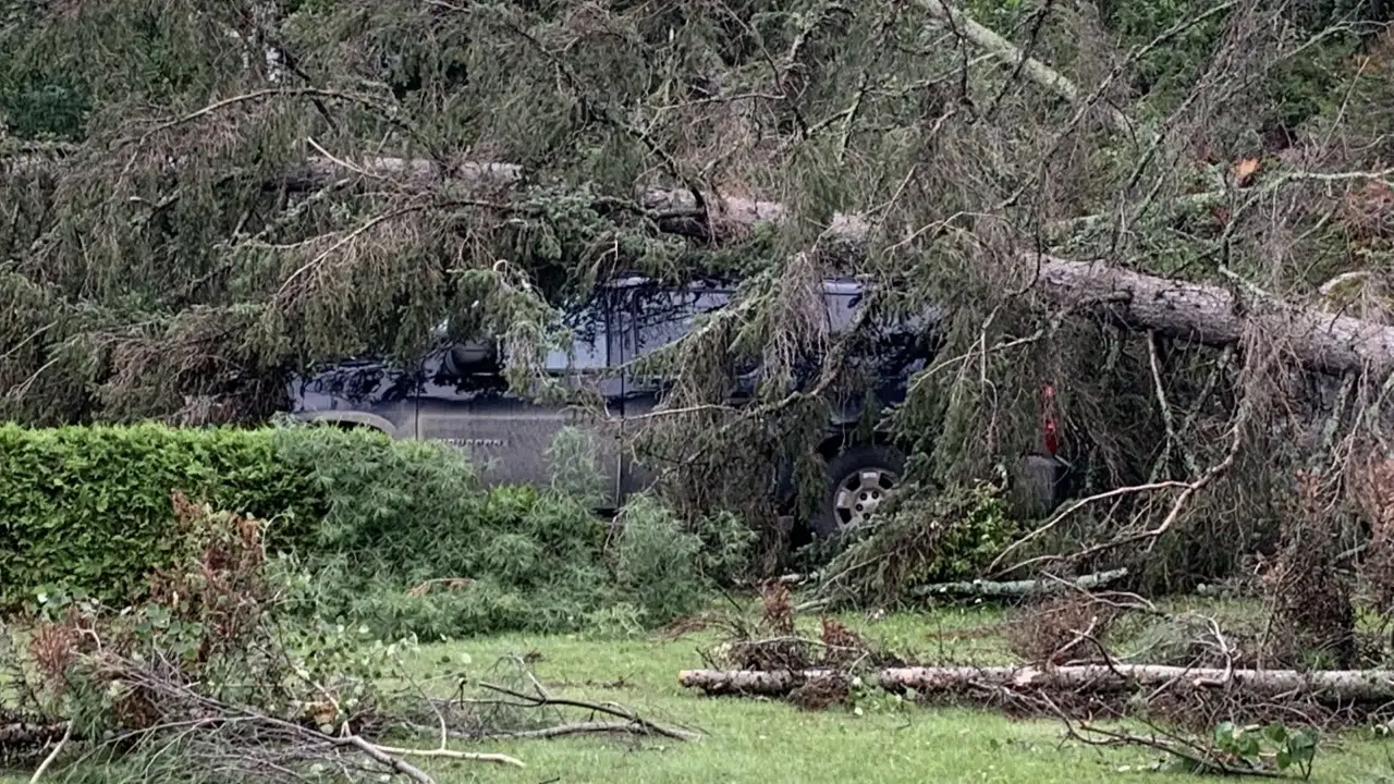 MPP Responds to Nestor Falls Storm Damage