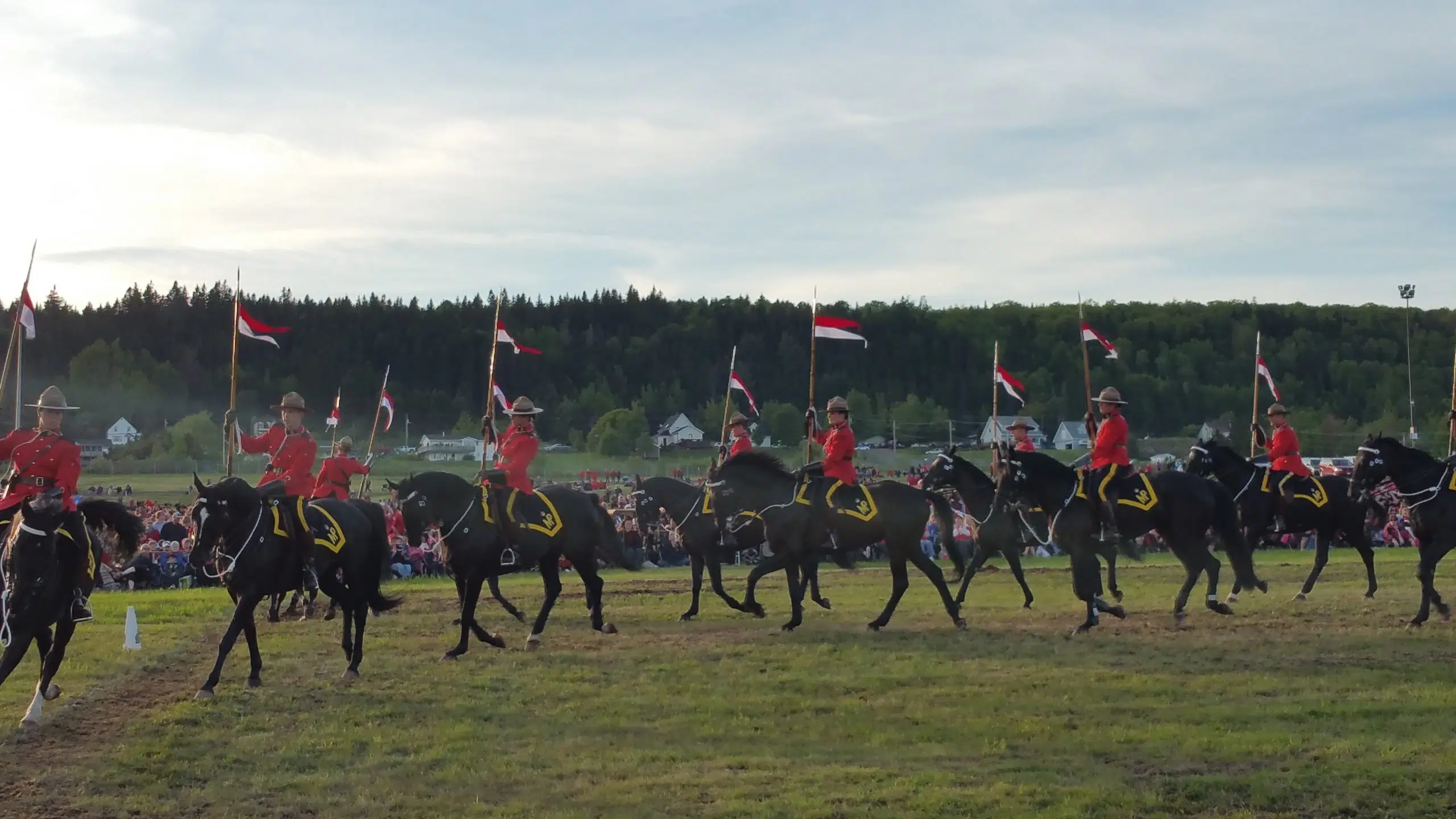 Kids 14-Years Old And Under Can Name 1 Of 14 RCMP Foals This Year