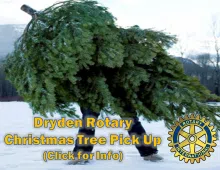 Dryden Rotary Club Will Collect Your Christmas Trees