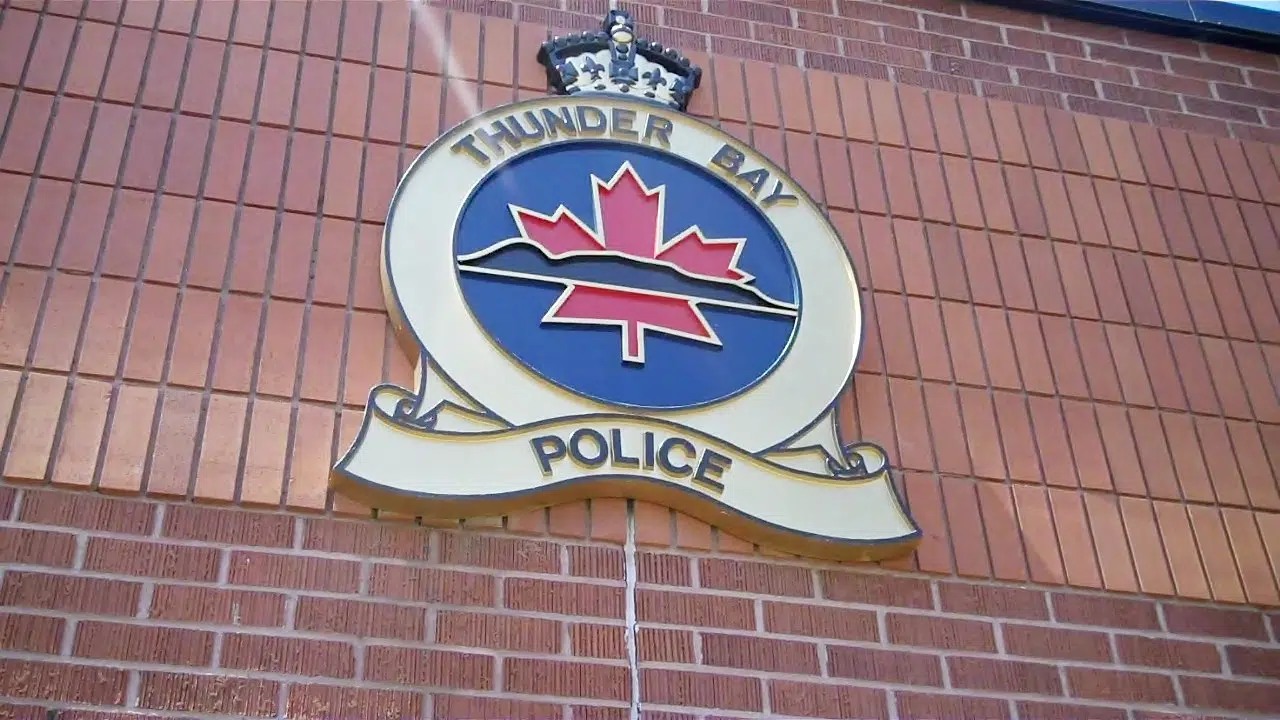 Thunder Bay Police Officers Assaulted
