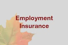 Employment Insurance Numbers Released