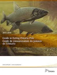 Province Releases Eating Ontario Fish Guide